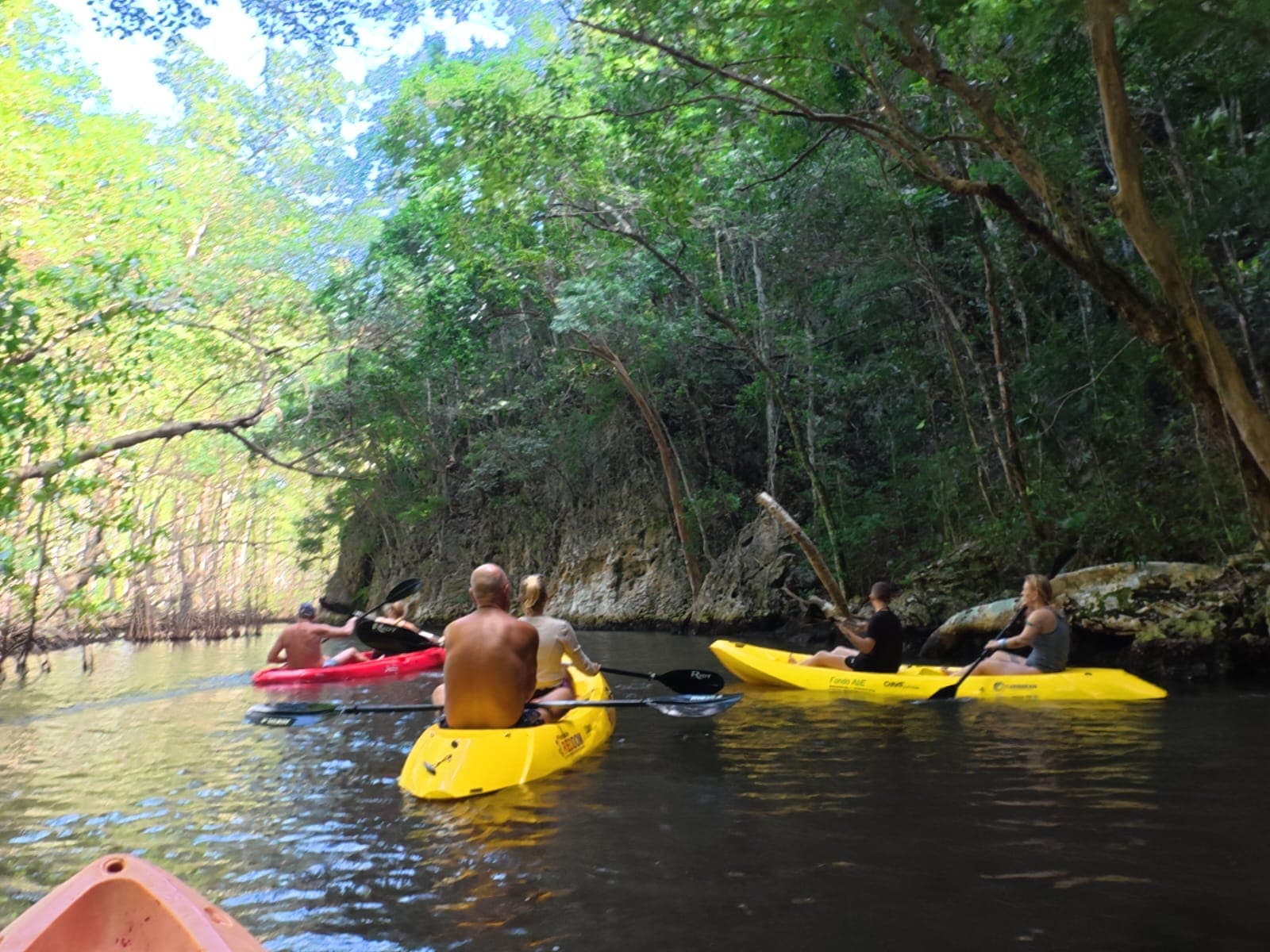 Punta Cana to Los Haitises + Kayak, Boat Ride & Macao Buggy Adventure