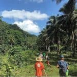 Hike + Kayak Los Haitises National Park from Boca Chica