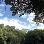 Santo Domingo: Natural Treasures of the City