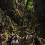 Birdwatching in Los Haitises National Park