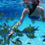 Snorkel Cayo Levantado and Farola island Snorkeling