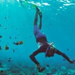 Snorkel Cayo Levantado and Farola island Snorkeling