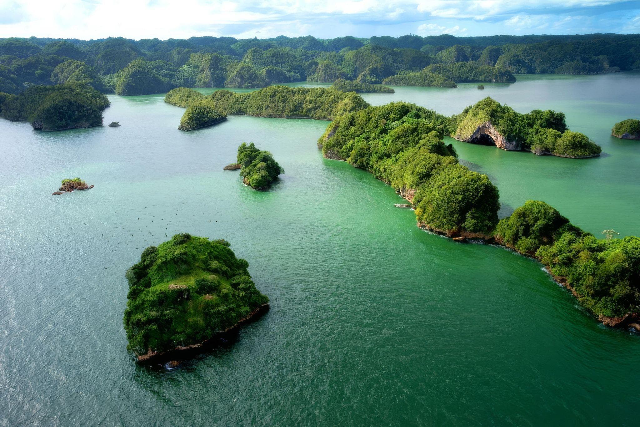 🚤 Los Haitises National Park Tour: Complete Guide (Boat, Caves & Mangroves)